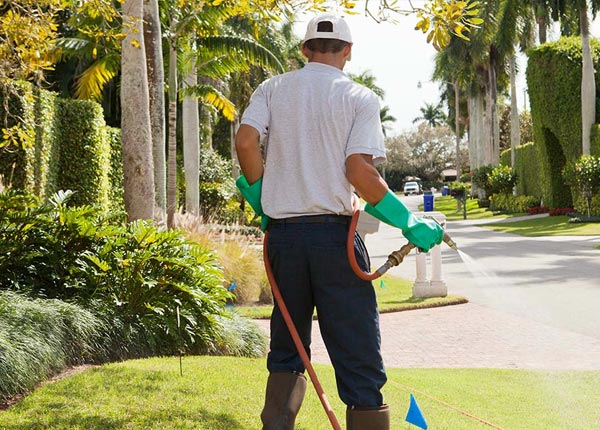 About Tyner NC Pest Control